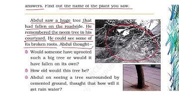 CBSE/NCERT/Class 4th/EVS/Chapter 19/Abdul in the Garden/ Part 2