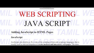TRB Computer Instructor WEB SCRIPTING | JAVA SCRIPT |Adding JavaScript to HTML Pages| VIBRANT ONLINE
