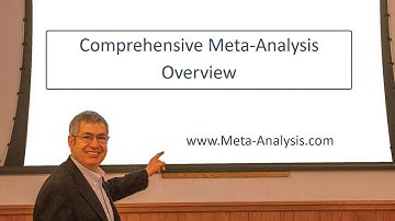 Overzicht van Comprehensive Meta-Analysis Versie 4