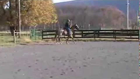 20131106151637