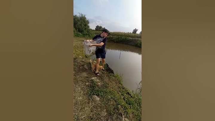 Крупный улов кастинговой сетью
