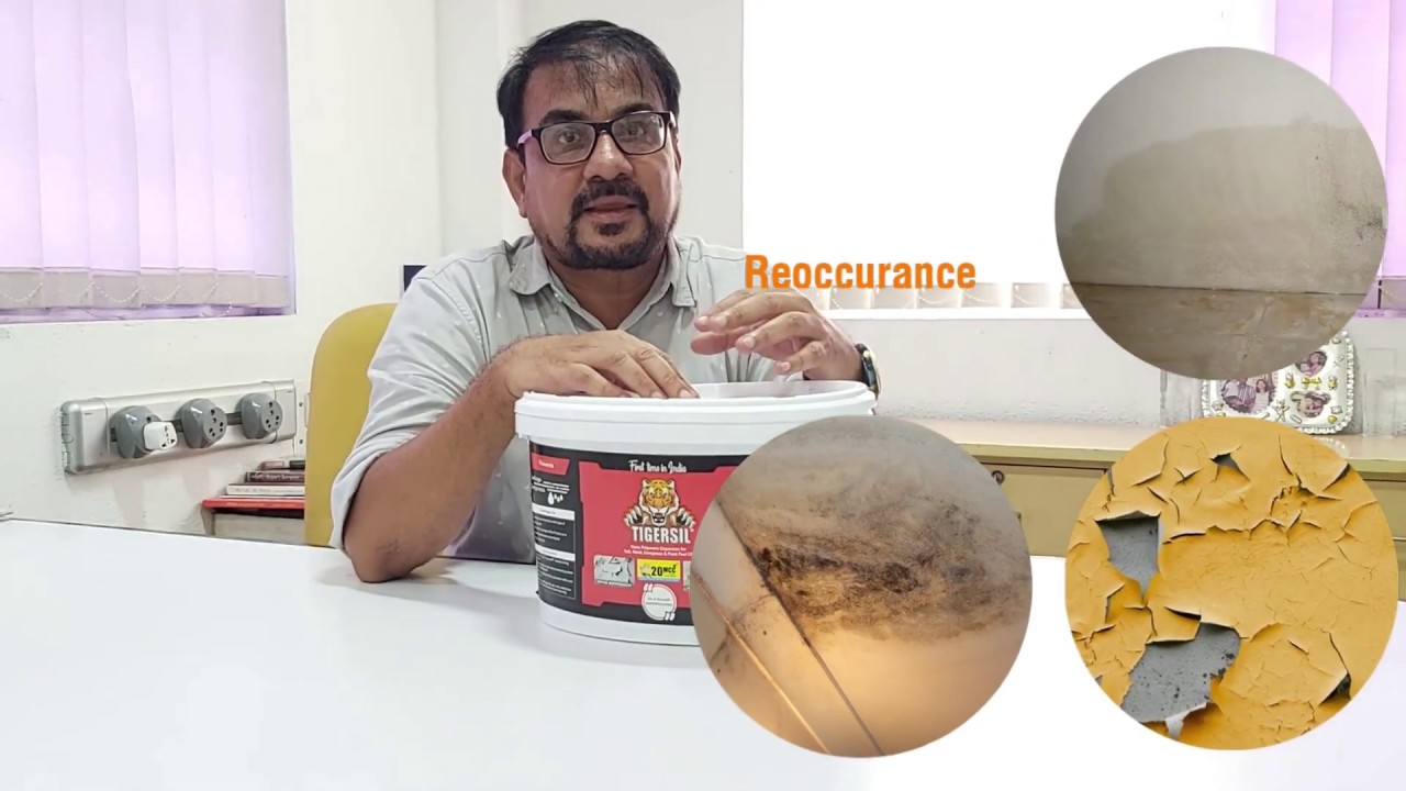 How To Fix Paint Peeling Off Wall? Use "DIY Waterproofing ...