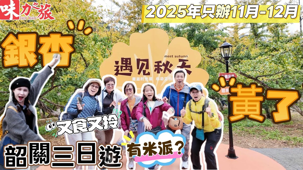 PAH03 韶關三日遊｜帽子峰國家森林公園｜黃金銀杏林｜連住國際品牌酒店｜秋天看銀杏｜韶州城｜行街宵夜｜宵夜自助餐｜每人贈送一包油粘米｜季節限定｜大型商場｜品嘗粵北名菜宴｜銀杏最佳觀賞期｜廣東銀杏黃了