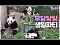 SUB Baby Twin Pandas First Birthday Party рџђјв Panda World SUB Baby Twin Pandas First Birthday Party рџђјв Panda World
