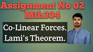 Assignment No 02 Mth304 Wealth