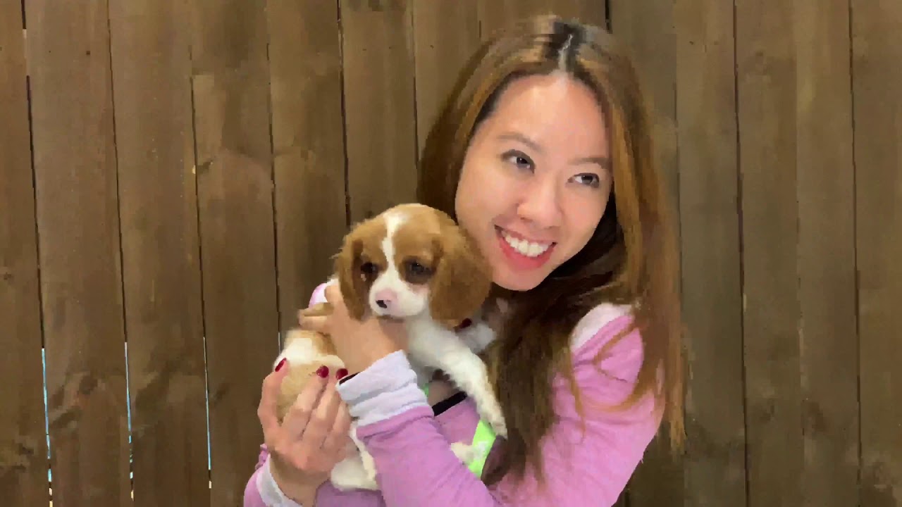 Orlando Photo Booth For Large Events by Professional Orlando Event Photographer