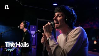 The Hails - Sugar | Audiotree Live