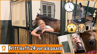 24 UUR LEVEN ALS PAARD! *Challenge | PaardenpraatTV