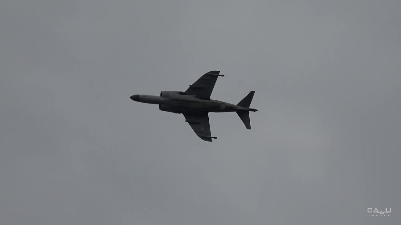2019 Culpeper Air Fest: Art Nalls FA.2 Sea Harrier