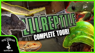 COMPLETE LLL REPTILE SHOP TOUR! (Oceanside, CA)