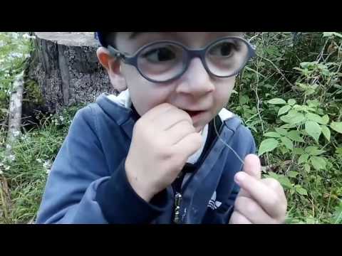 ელიობა 2016 მეორე ნაწილი