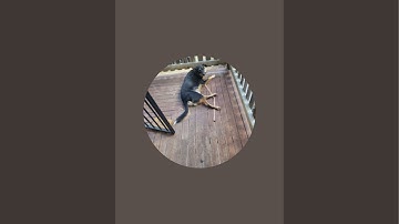 Downloading Windows 10 MSIX on Hyper-V on a Dell Optiplex 9010 on live