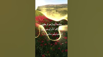 #القرآن_الكريم #المصحف #ارح_قلبك #سورة_القلم #ليك_تفعيل_جرس_تعليق_مثلكم_حلو #اكسبلور