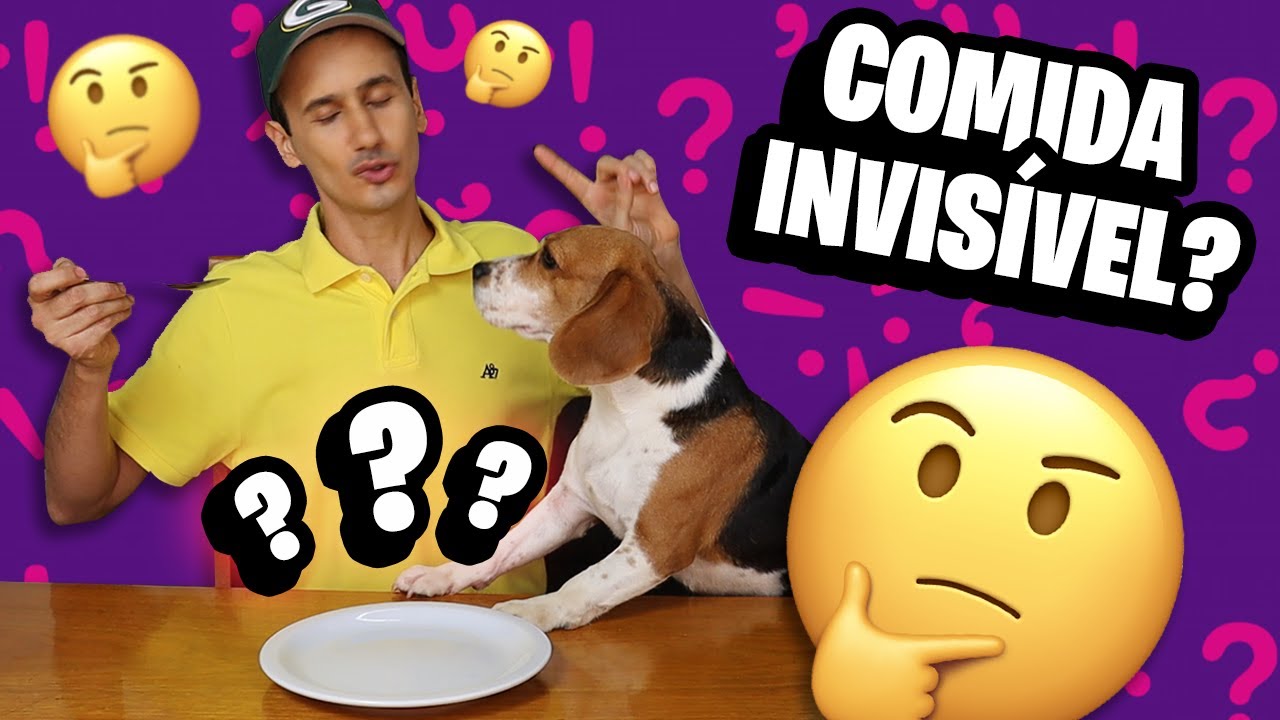 my-dog-reacts-to-the-invisible-food-challenge-youtube