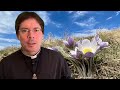 Experiencing Reality as a Sign - Fr. Mark Goring, CC