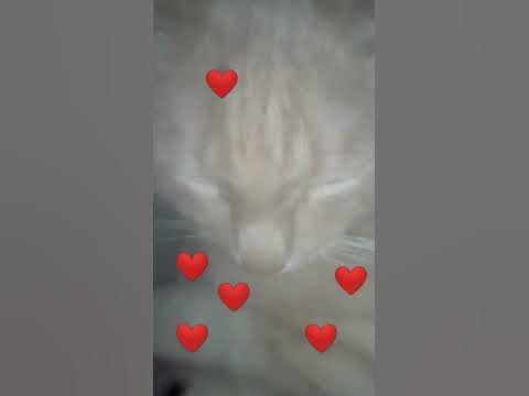 Много сердечек - YouTube