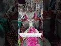 New saiyed ali mira datar dargah  qawwali video 2024 WhatsApp status
