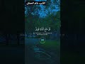 قل متع الدنيا قليل ماهر المعيقلي تلاوة خاشعة القران الكريم لايك اكسبلور راحة نفسية 