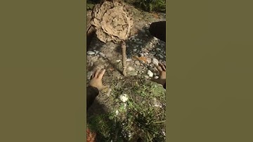 Duplicate logs 🪵 sons of the forest #sonsoftheforest #glitch #howto #tutorial #games