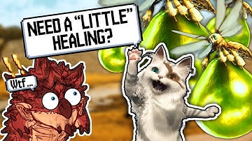 The Truth Behind Monster Hunter
