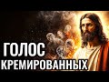 КРЕМАЦИЯ И СУДНЫЙ ДЕНЬ: что ждет тех, чьё тело превратили в пепел на День Суда. Голос Божий