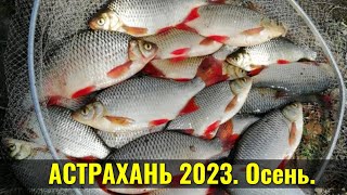 АСТРАХАНЬ. Осень2023. Клевало даже на ПАЛЕЦ