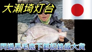 日本釣魚大瀨埼灯台 整海都是黑毛像台灣厚殼仔一樣多 要閃過毛底下都是大物 糾團啦改天再來去日本釣魚