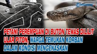 Petani Perempuan di Buton Tewas Dililit Ular Piton, Warga Temukan Korban dalam Kondisi Mengenaskan