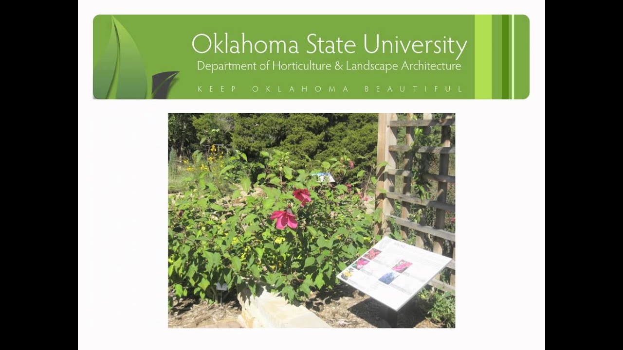 oklahoma-state-university-department-of-horticulture-landscape