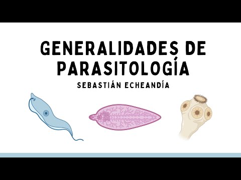 Vídeo: Epidemiología Molecular Y Descriptiva De Los Parásitos Protozoarios Intestinales De Niños Y Sus Mascotas En Cauca, Colombia: Un Estudio Transversal