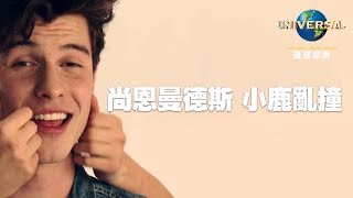 尚恩曼德斯 Shawn Mendes -  小鹿亂撞 Nervous（中文上字MV）