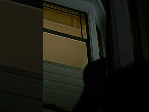 on laisse la fenêtre ouverte