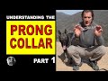 PRONG Collar Explained #1- How to Use a Prong Collar - Robert Cabral - Dog Training Video