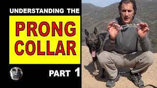 PRONG Collar Explained #1 How to Use a Prong Collar  Robert Cabral  Dog Training Video