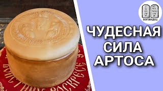 Чудесная сила Артоса. Максим Какскун