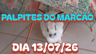 PALPITES DO MARCÃO DIA 13/07/26 (DIA TODO)@canaldomarcao1969 