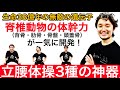 立腰体操3種の神器「生命38億年の無敵の遺伝子・脊椎動物の体幹力が一気に開発！」【フィジカリストOuJi】
