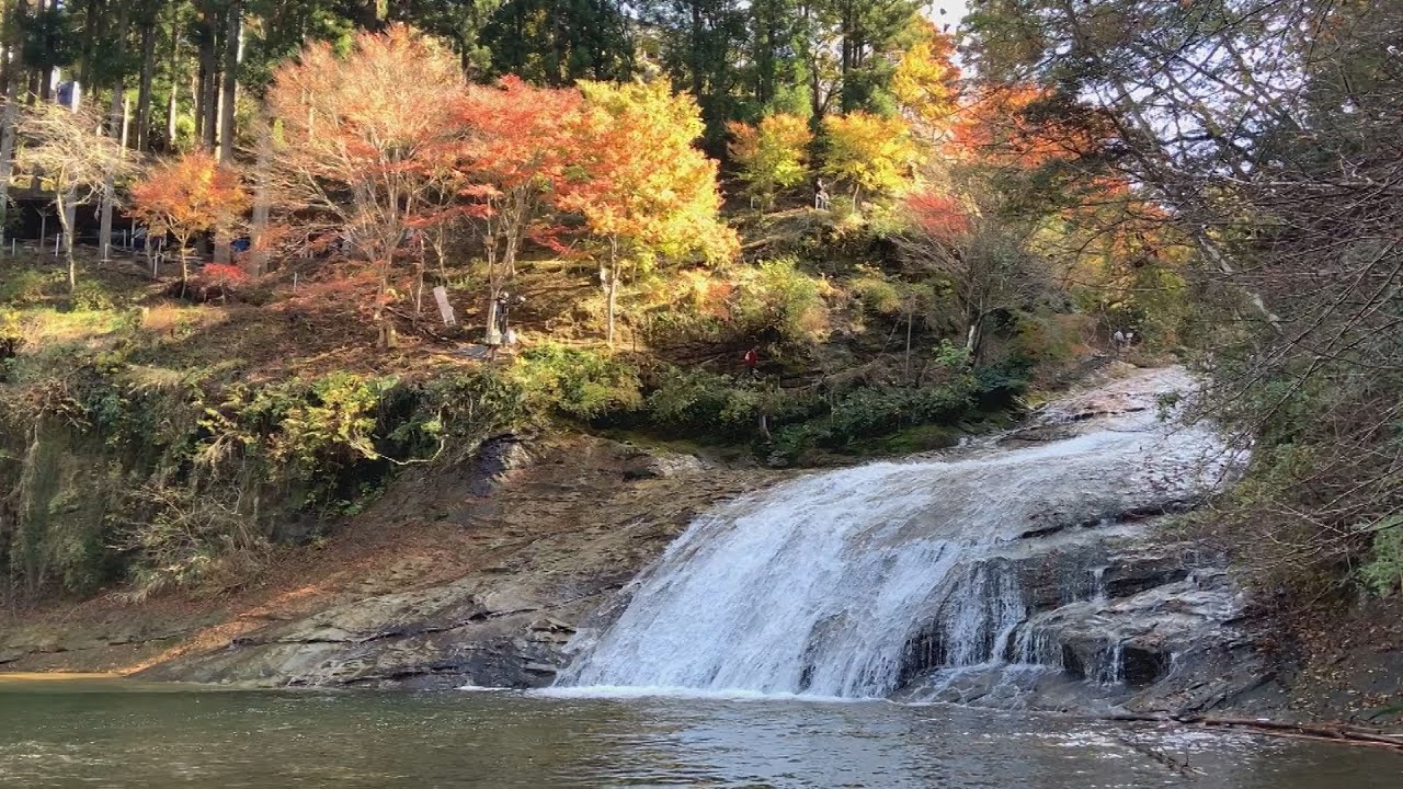 養老渓谷で紅葉が見頃 房総 滝の名所 Youtube