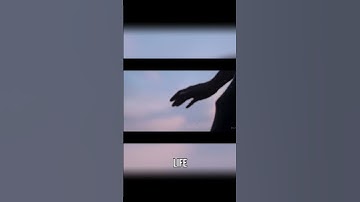 Connect the Dots: Trusting in Your Future | Inspirational Video