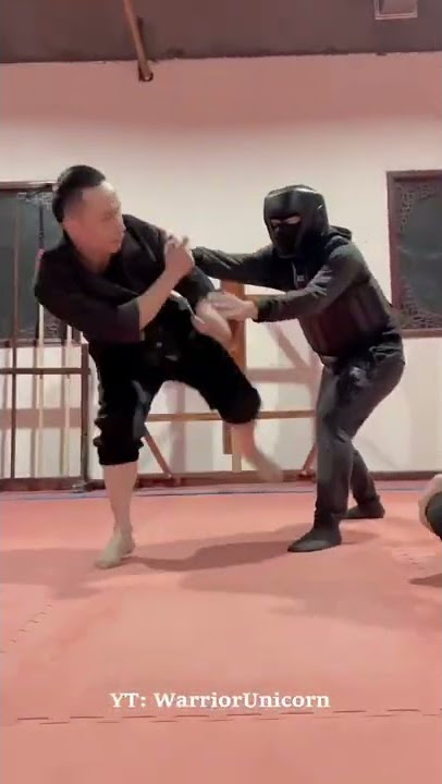 Master Tu Tengyao | Arts of Fighting | Training 2022 #6