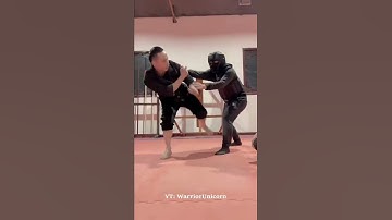 Master Tu Tengyao | Arts of Fighting | Training 2022 #6