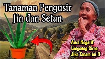 Merinding‼️INILAH 10 TANAMAN PENGUSIR Jin dan Setan Paling Ampuh