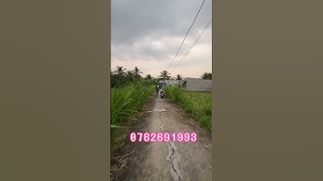 Đất nền giá rẻ tại Tiền Giang #bdstiengiang #datgiatot #datnengiare #datnen #bds #tongtuanh