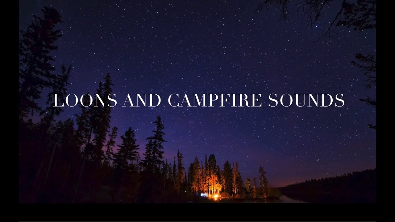 1 Hour Loon Calls With Campfire Sound   Loon Calls For Relaxing NO MUSIC