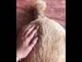 Sexy Butt 