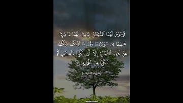 سورة الأعراف الجزء الثاني #قرآن #راحة_نفسية #المسبحة_اونلاين