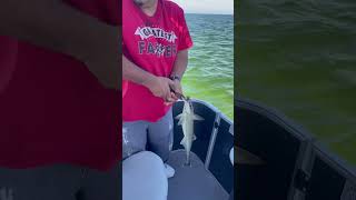 Spring Fishing With Captain Chris And Maddie-February 2025