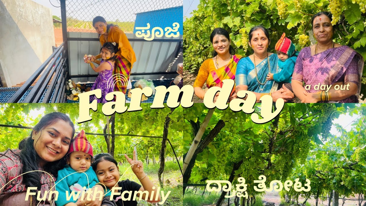 ನಮ್ಮ ದ್ರಾಕ್ಷಿ ತೋಟ 🍇| Farm trip | fun time with family | ನಮ್ಮ ದ್ರಾಕ್ಷಿ ತೋಟದಲ್ಲಿ ಪೂಜೆ 
