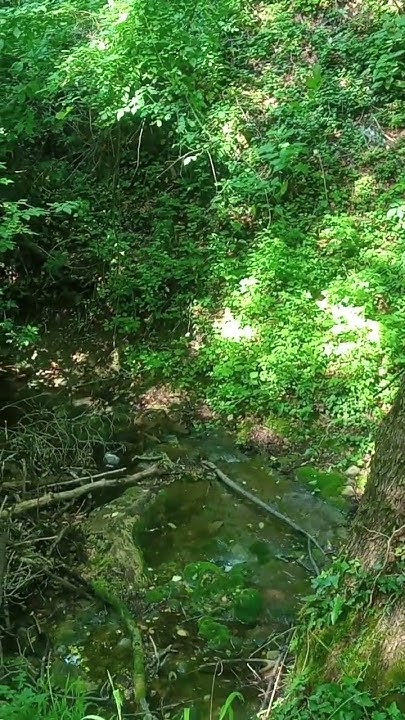 #българия #водопад #бачково - YouTube
