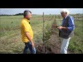 Рациональное использование земли в орехово-фундуковом саду за счёт выращивания гусей